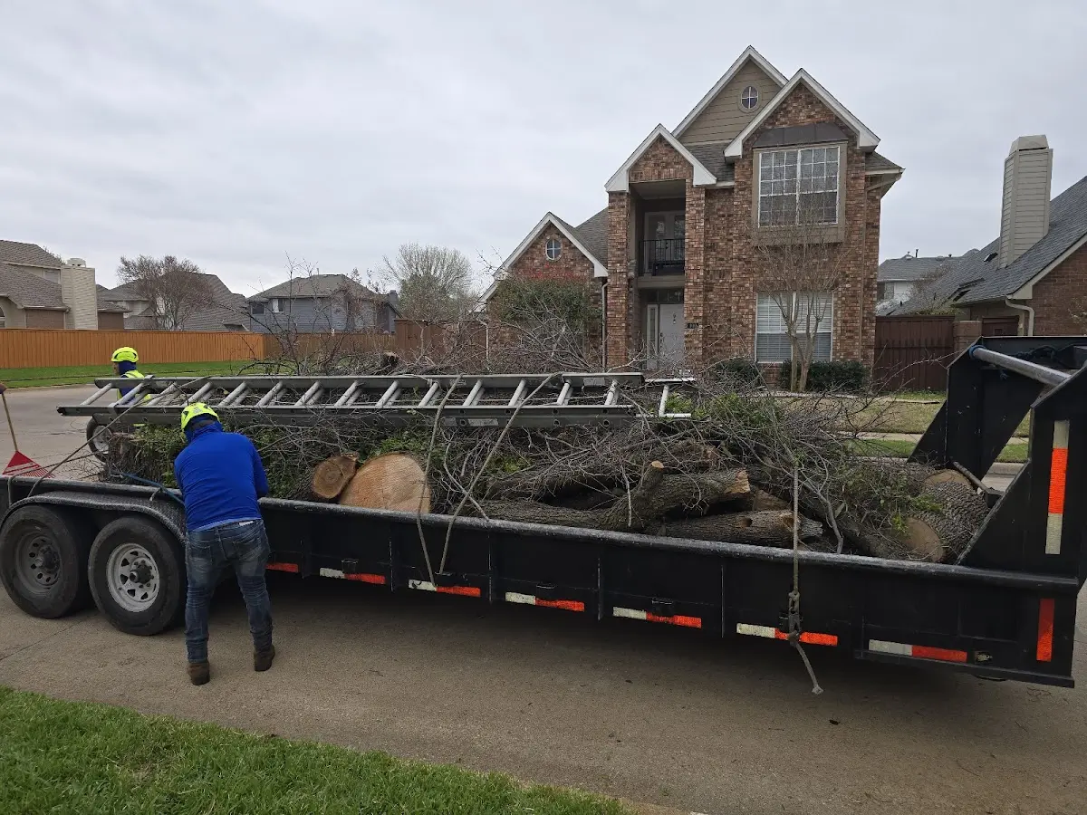 Expert Tree Pest Control with proper safety equipment in Fort Peck